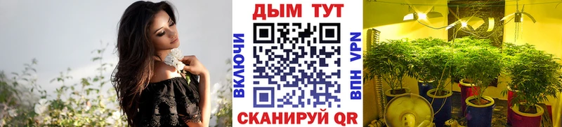 Купить закладки  Навашино  МАРИХУАНА планчик 
